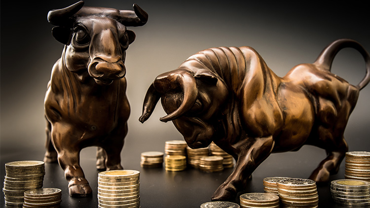 Un bull market vs un bear market - investissement dans un bull market